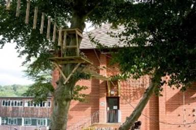 Box Hill School climbing.jpg