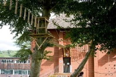 Box Hill School climbing.jpg