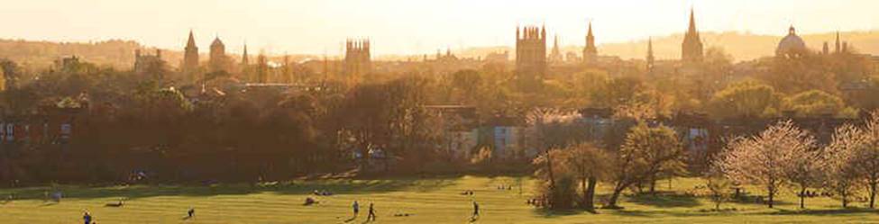 ot14.jpg (28332 bytes)